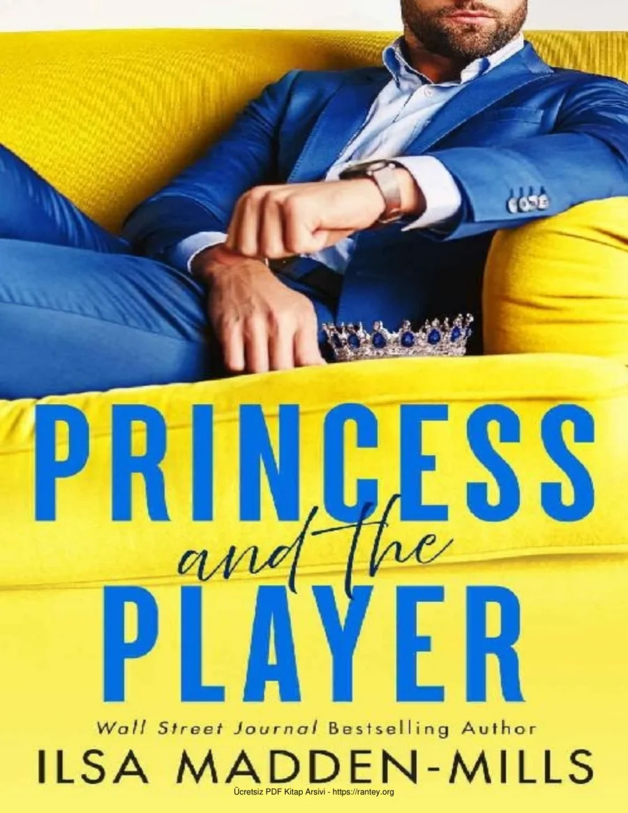 Princess and the Player kapak görseli