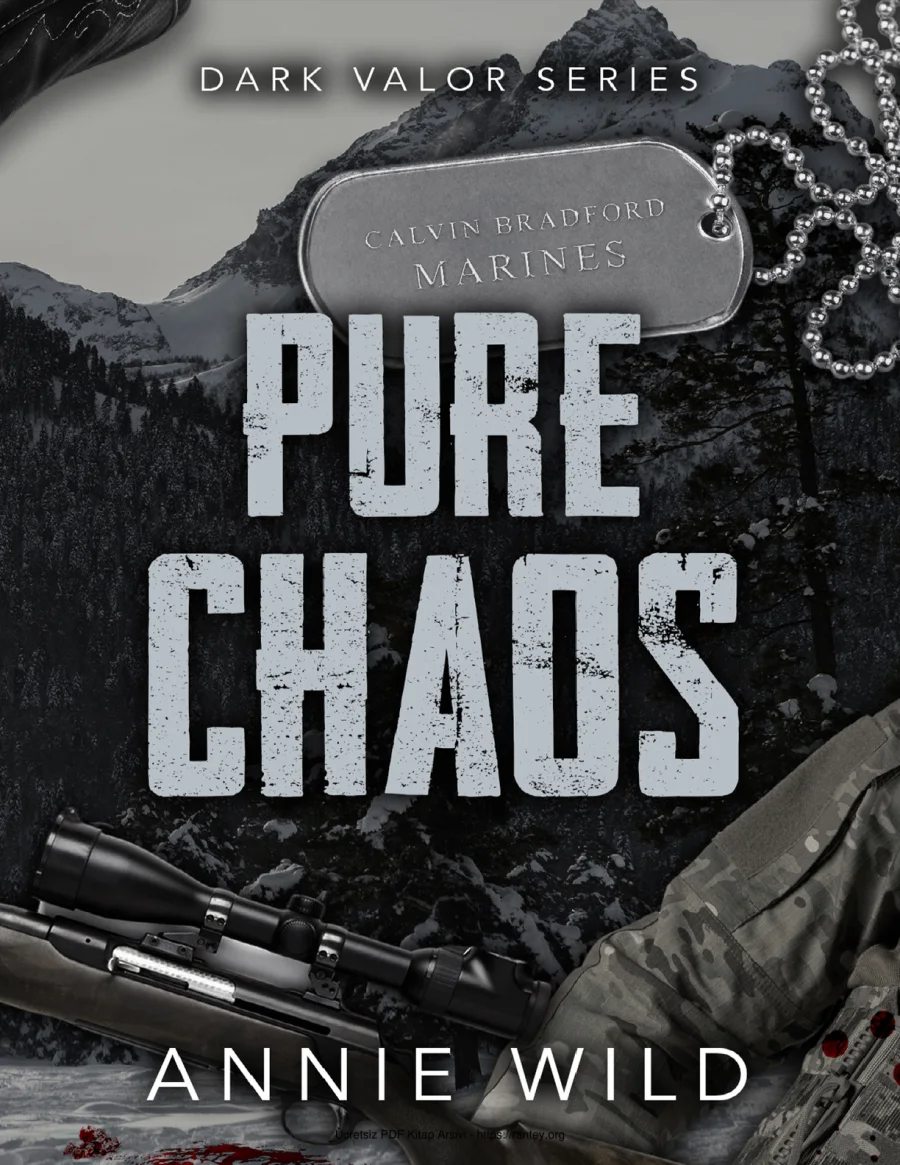Pure Chaos kapak görseli