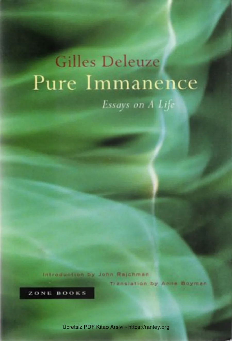 Pure Immanence kapak görseli