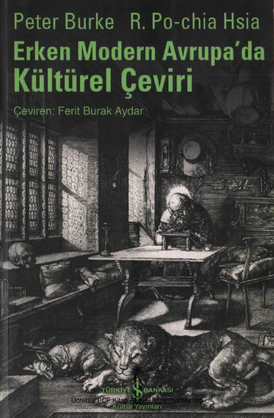 R Po chia Hsia Erken Modern Avrupada Kültürel Çeviri kapak görseli