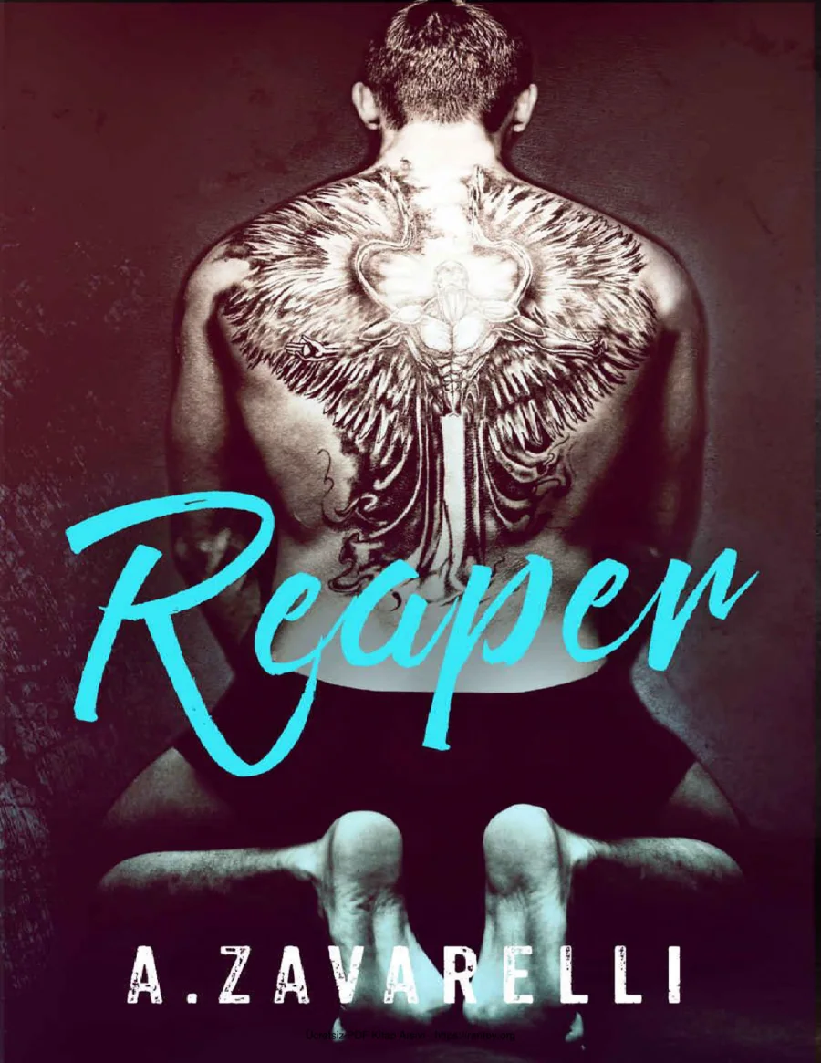 Reaper kapak görseli