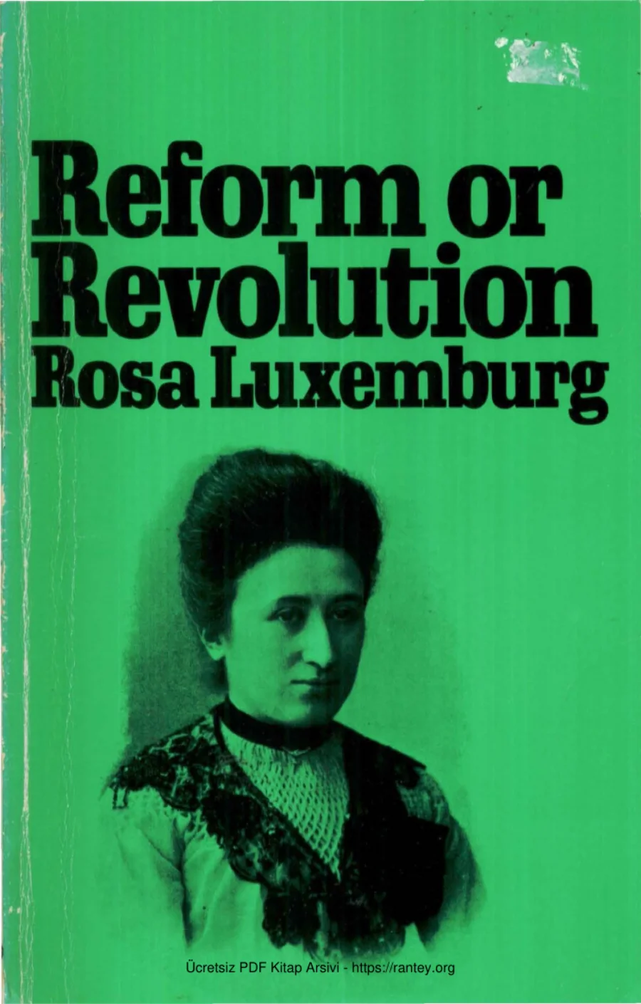Reform or Revolution kapak görseli