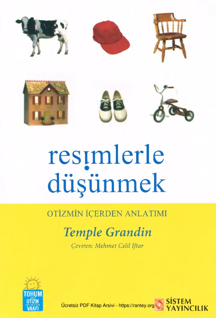Resimlerle Düşünmek: Otizmin İçerden Anlatımı kapak görseli
