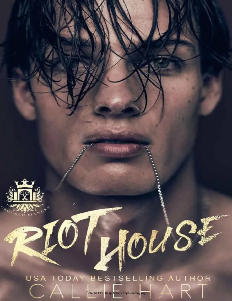 Riot House kapak görseli