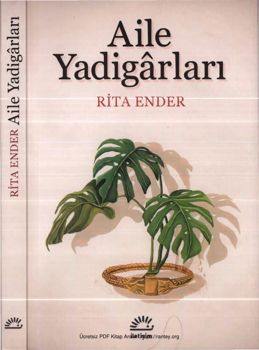 Rita Ender Aile Yadigarları kapak görseli