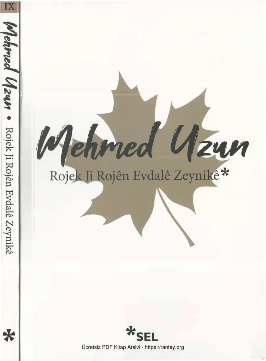 Rojek Ji Rojen Evdale Zeynike kapak görseli
