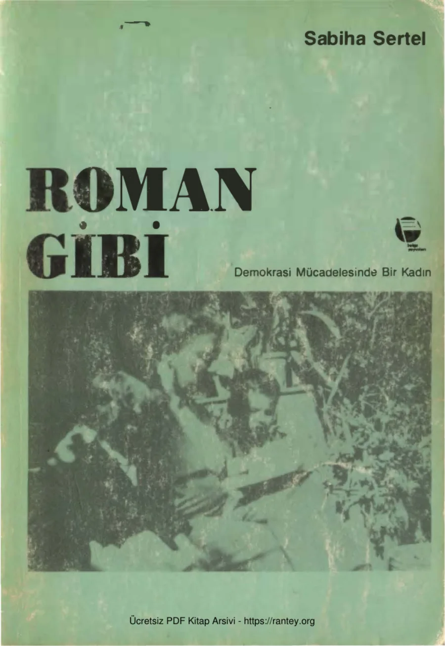 Roman Gibi Demokrasi Mücadelesinde Bir Kadın kapak görseli