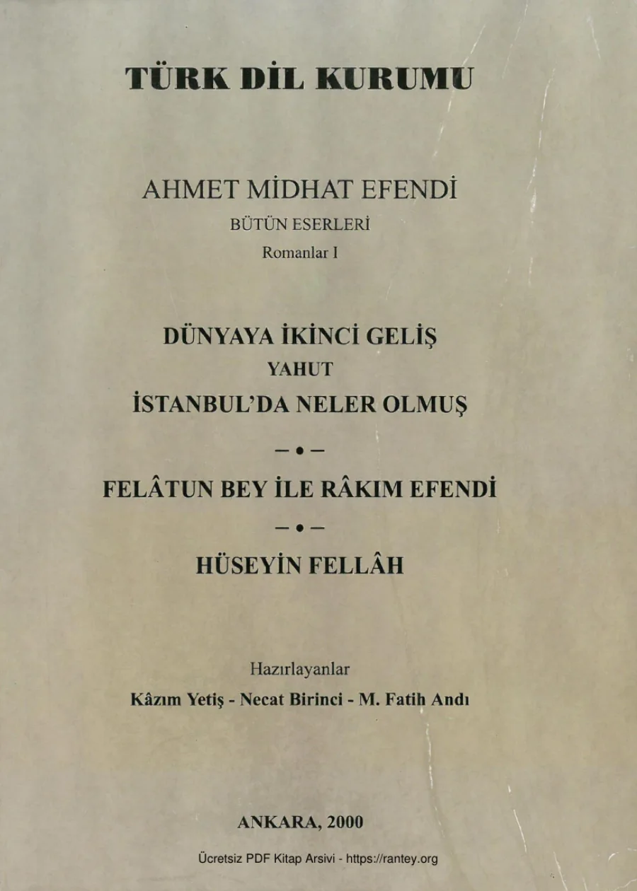 Romanlar 1: Dünyaya İkinci Geliş yahut İstanbul'da Neler Olmuş kapak görseli