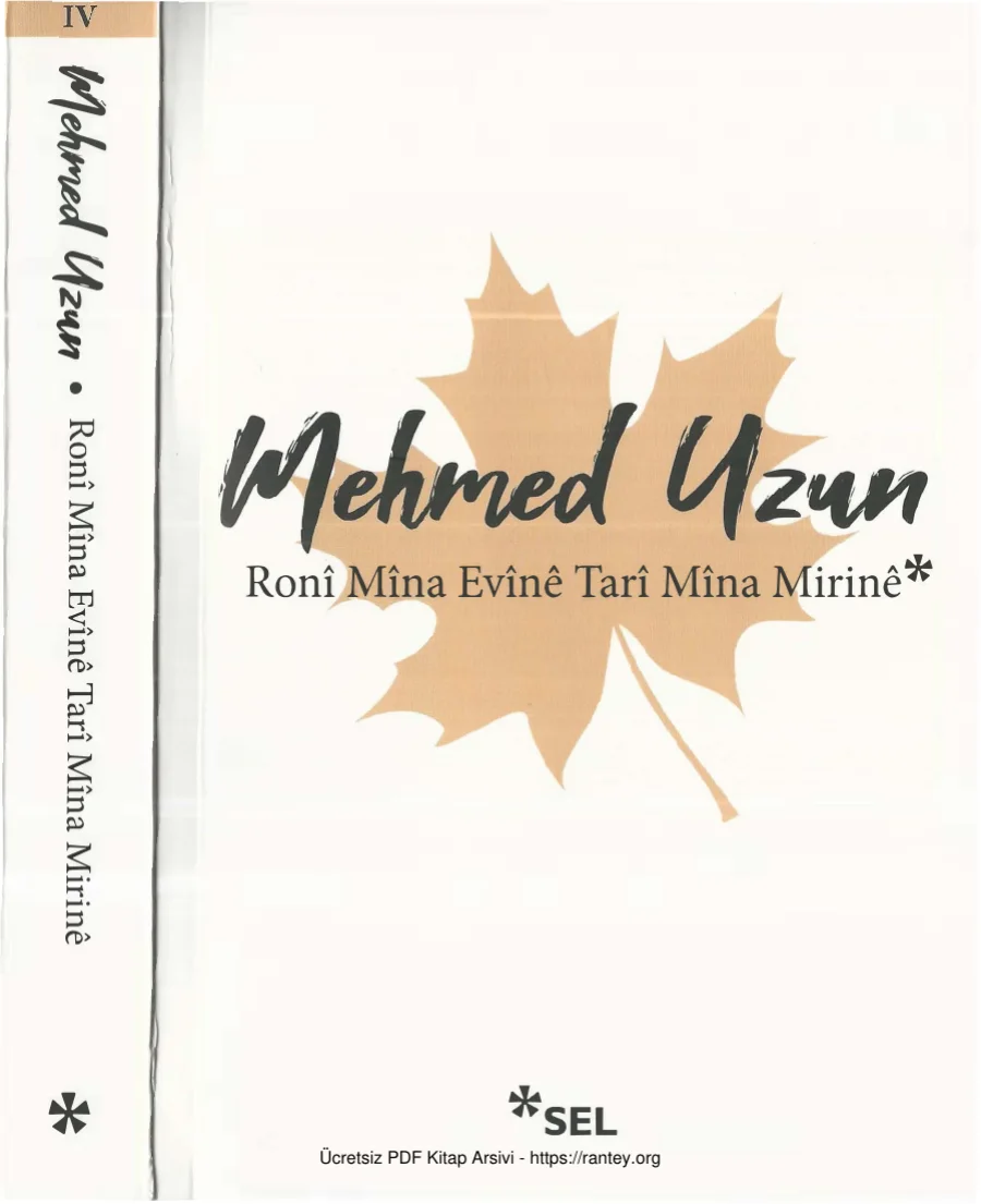 Roni Mina Evine Tari Mina Mirine kapak görseli