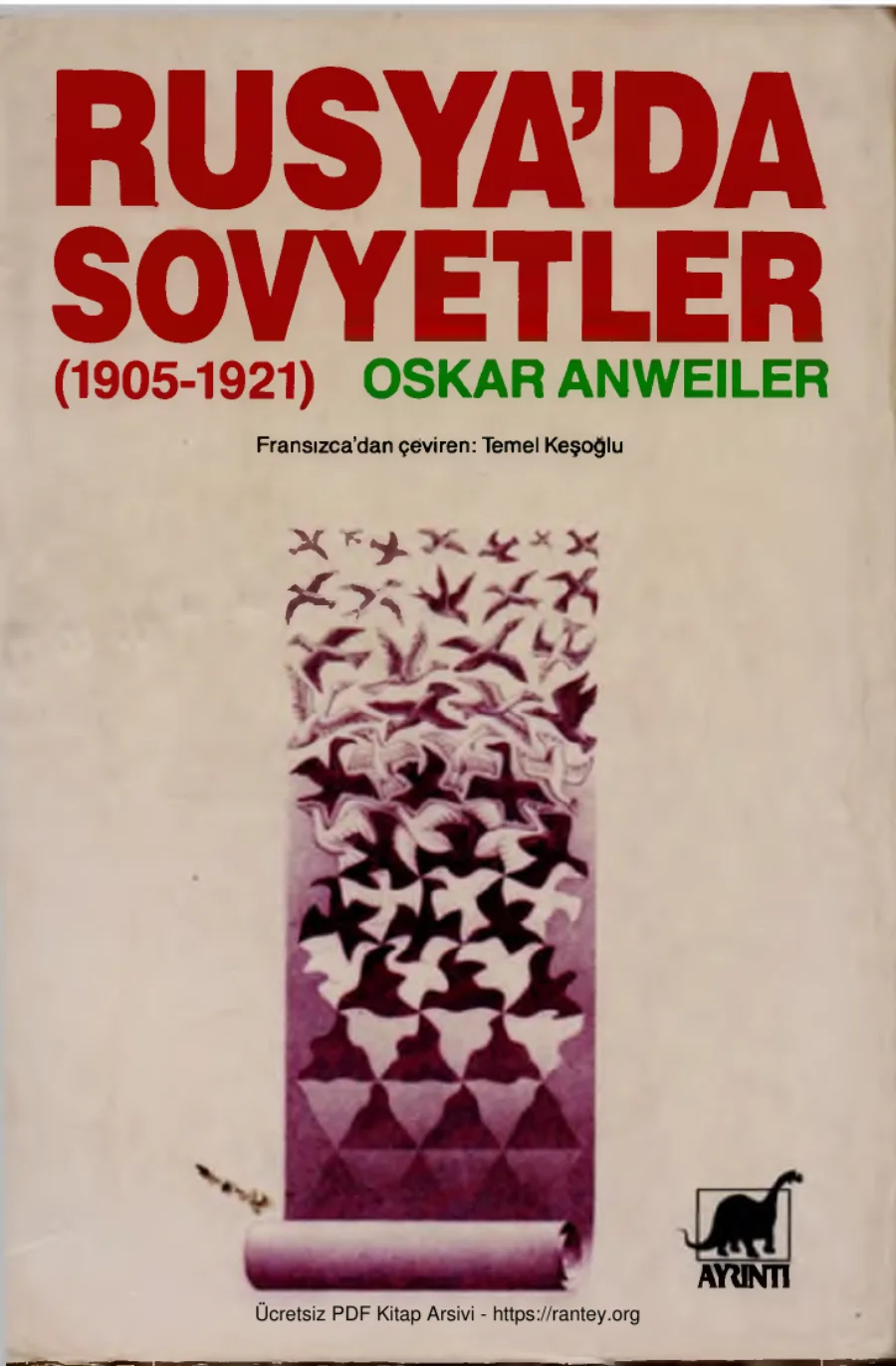 Rusya'da Sovyetler 1905-1921 kapak görseli