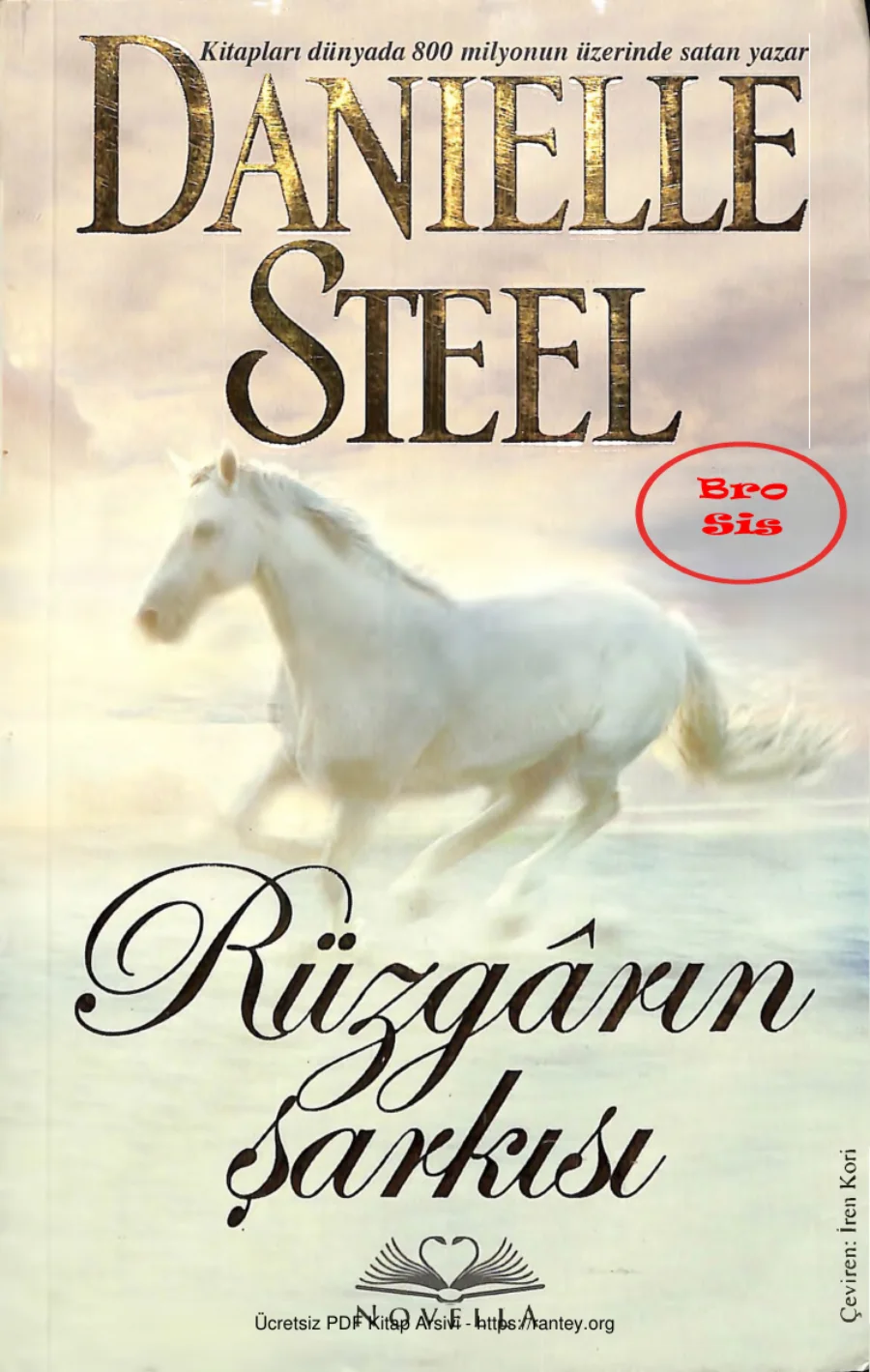 Rüzgarın Şarkısı kapak görseli