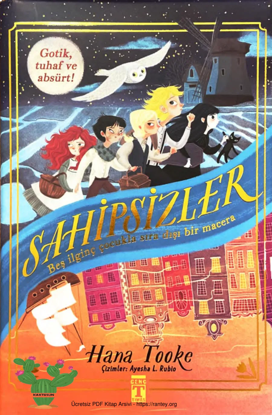 Sahipsizler kapak görseli