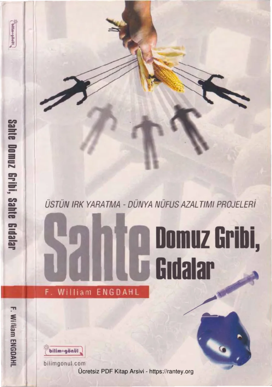 Sahte Domuz Gribi Sahte Gıdalar Bilim ve Gönül Yayınları kapak görseli