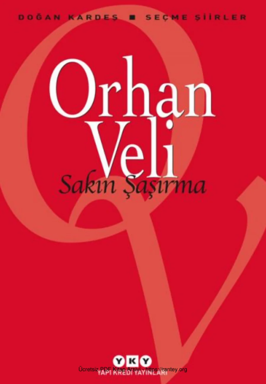Sakın Şaşırma kapak görseli