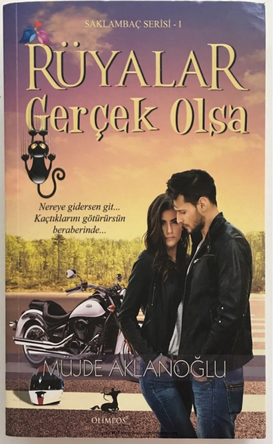 Saklambac 1 Ruyalar Gercek Olsa kapak görseli