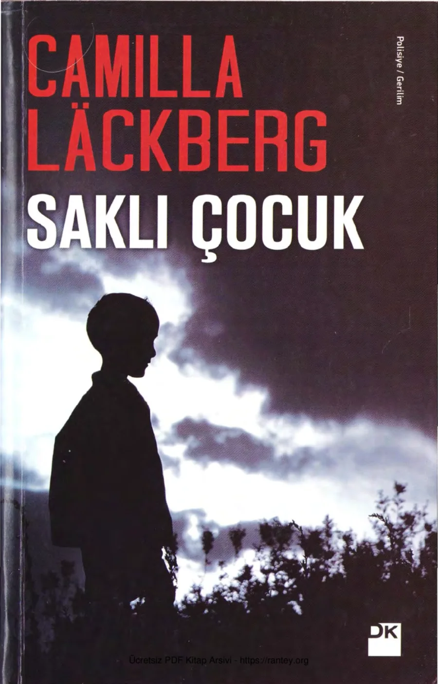 Saklı Çocuk kapak görseli