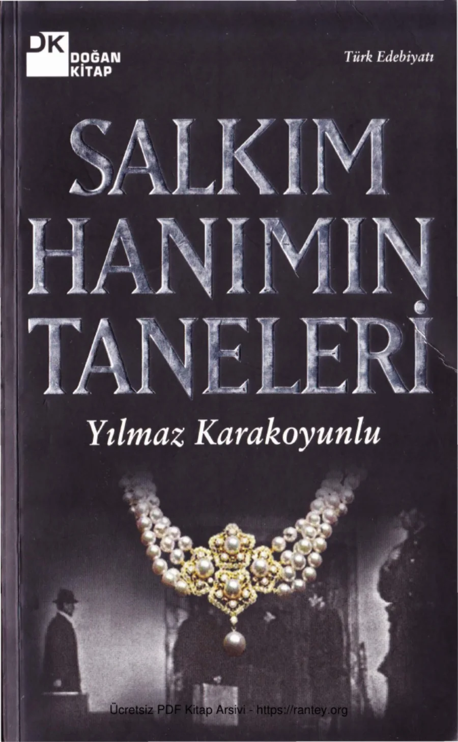 Salkım Hanımın Taneleri kapak görseli
