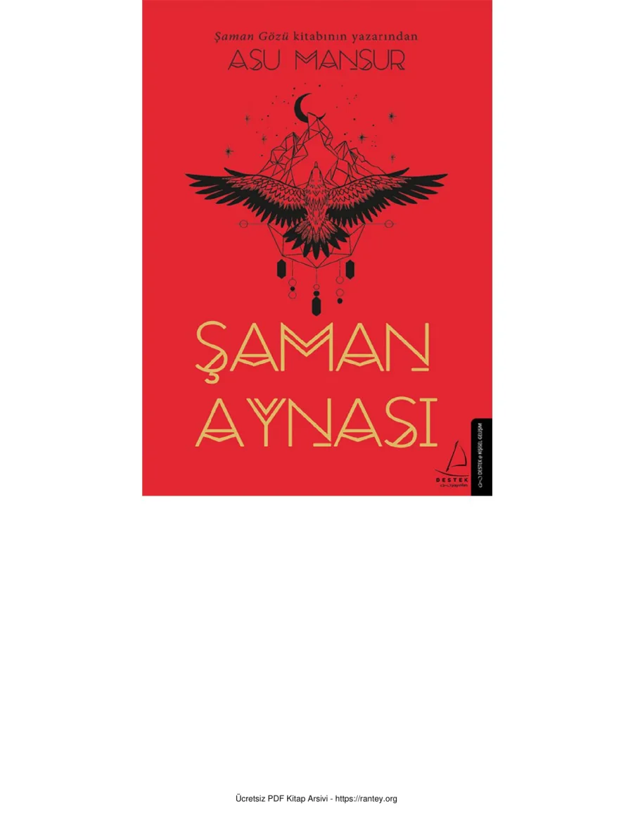 Şaman Aynası kapak görseli