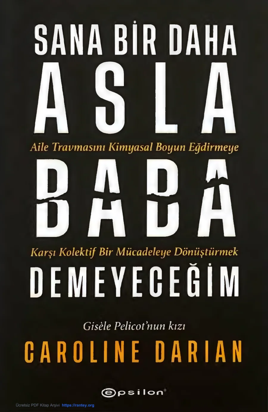 Sana Bir Daha Asla Baba Demeyeceğim kapak görseli