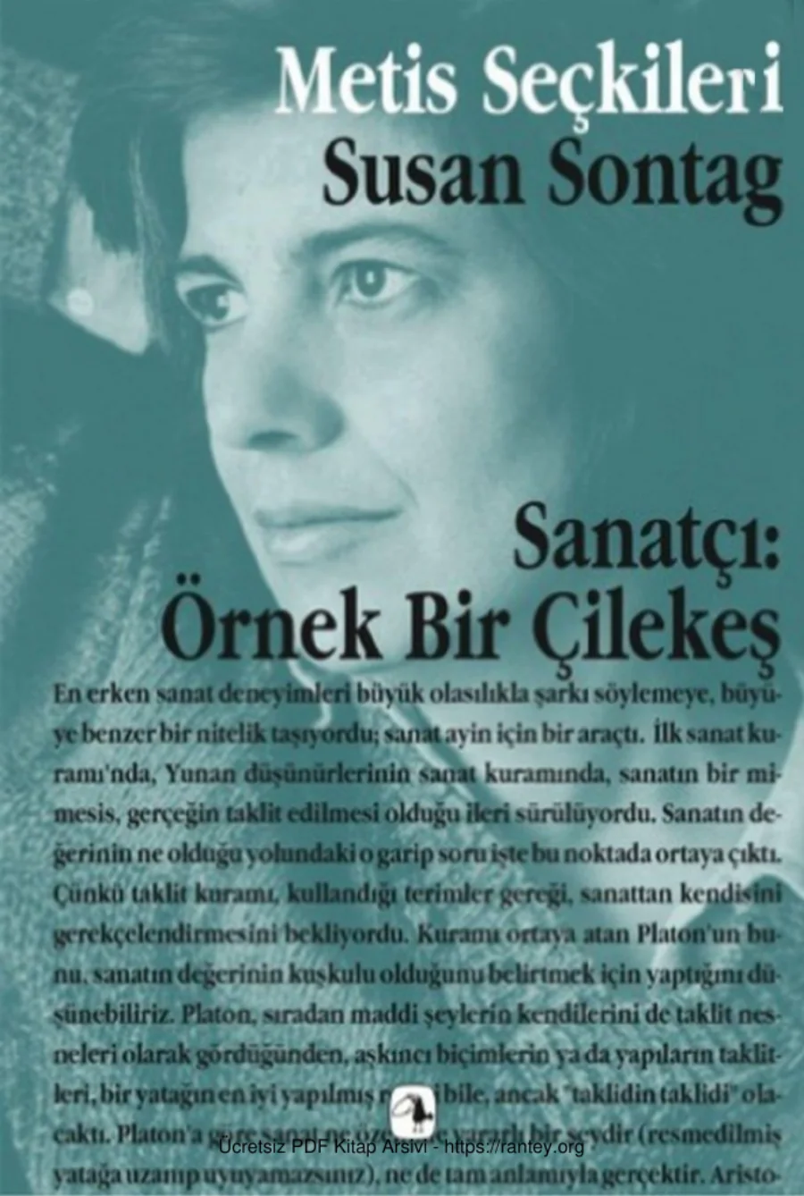 Sanatçı Örnek Bir Çilekeş kapak görseli
