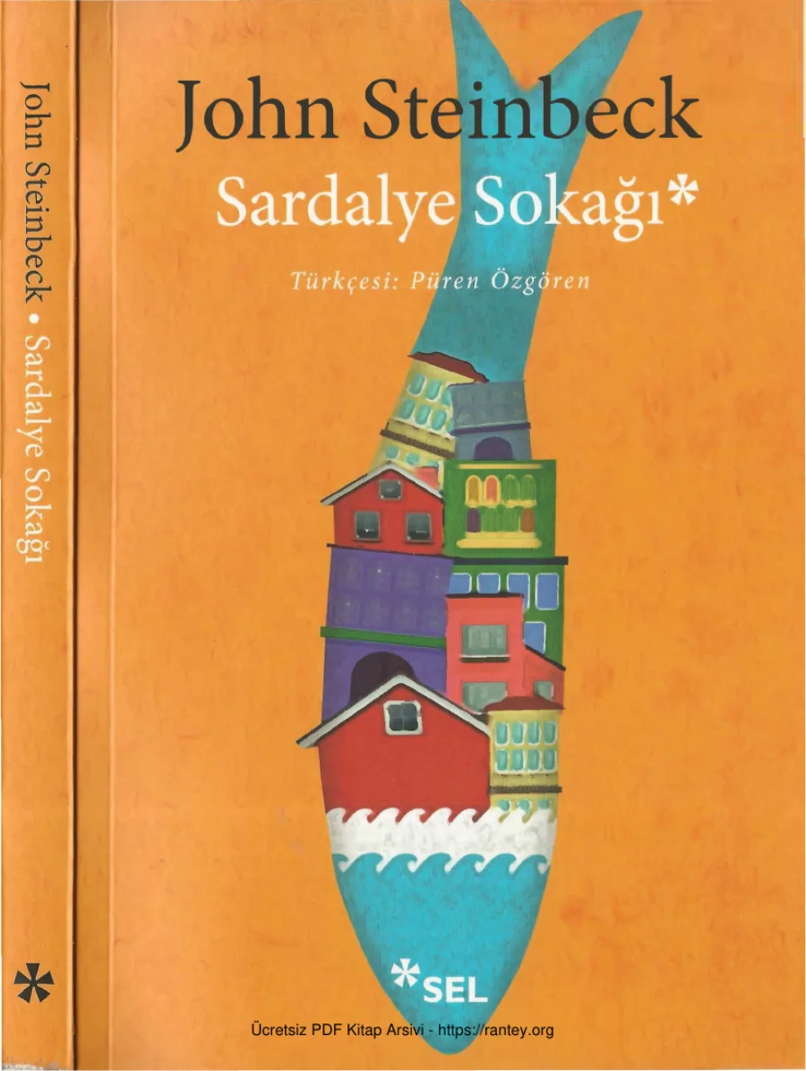 Sardalye Sokağı Sel Yayınları kapak görseli