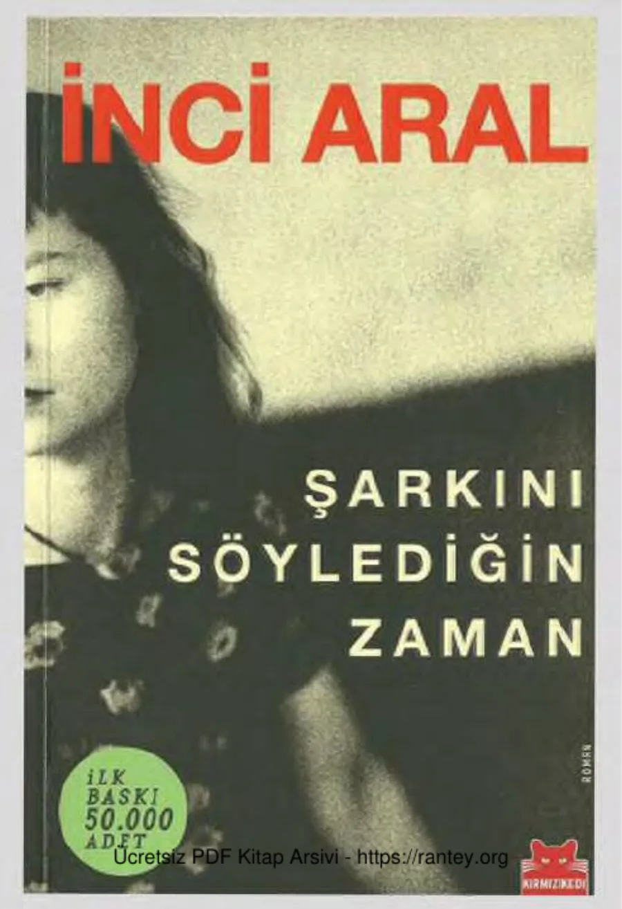 Şarkını Söylediğin Zaman kapak görseli