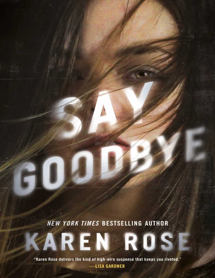 Say Goodbye kapak görseli