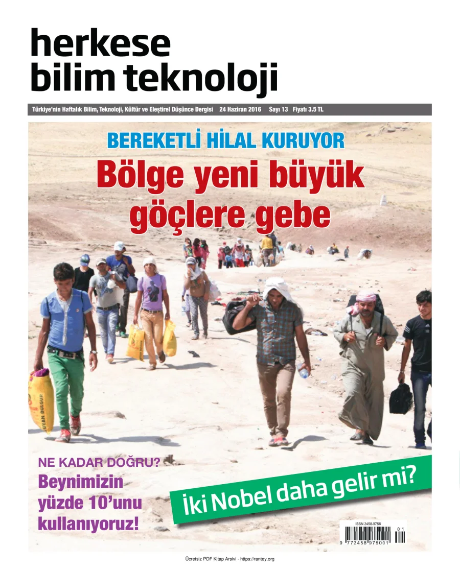 Sayı 013 kapak görseli
