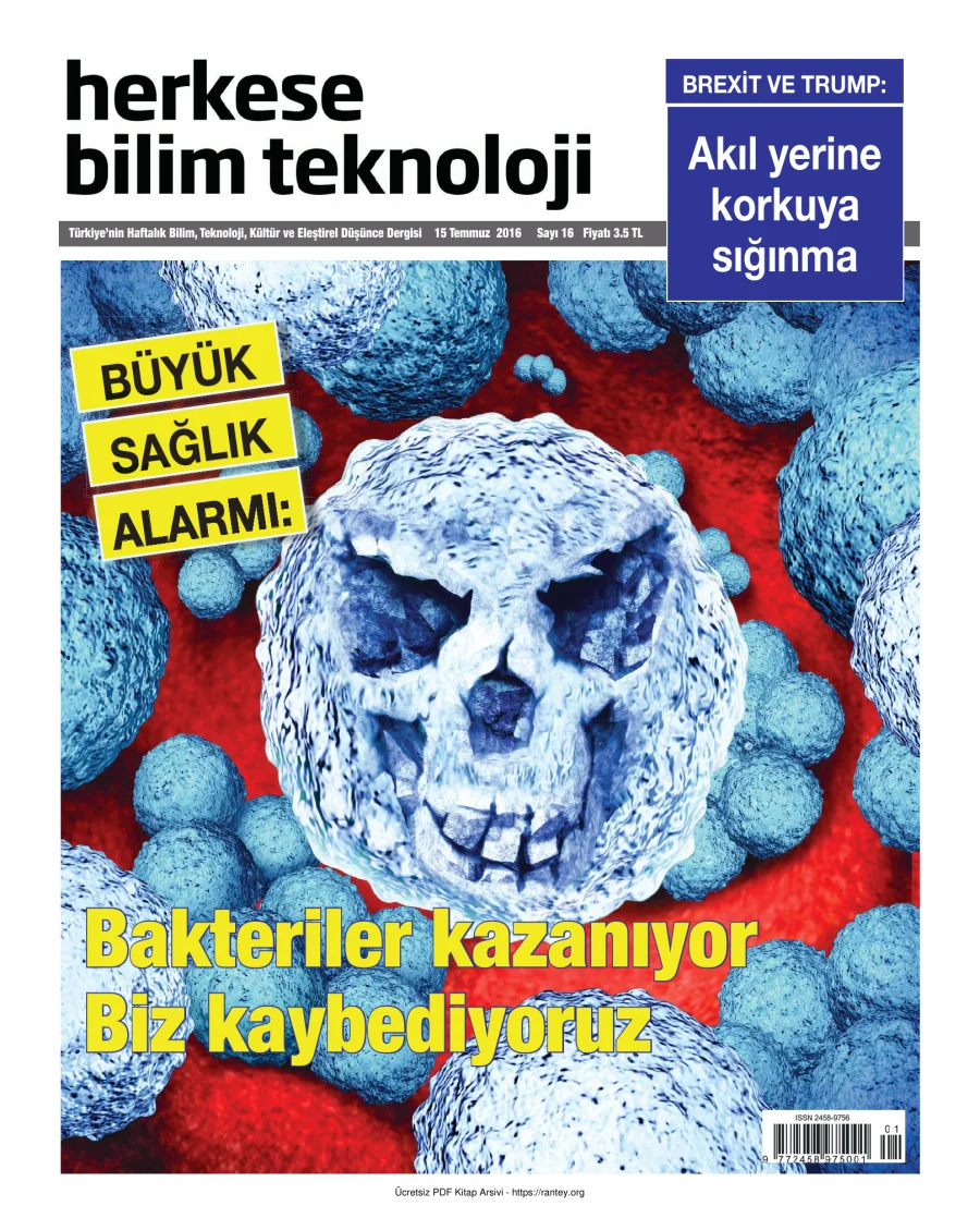 Sayı 016 kapak görseli