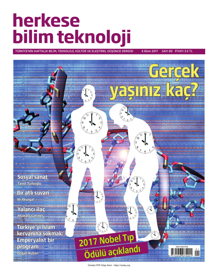 Sayı 080 kapak görseli