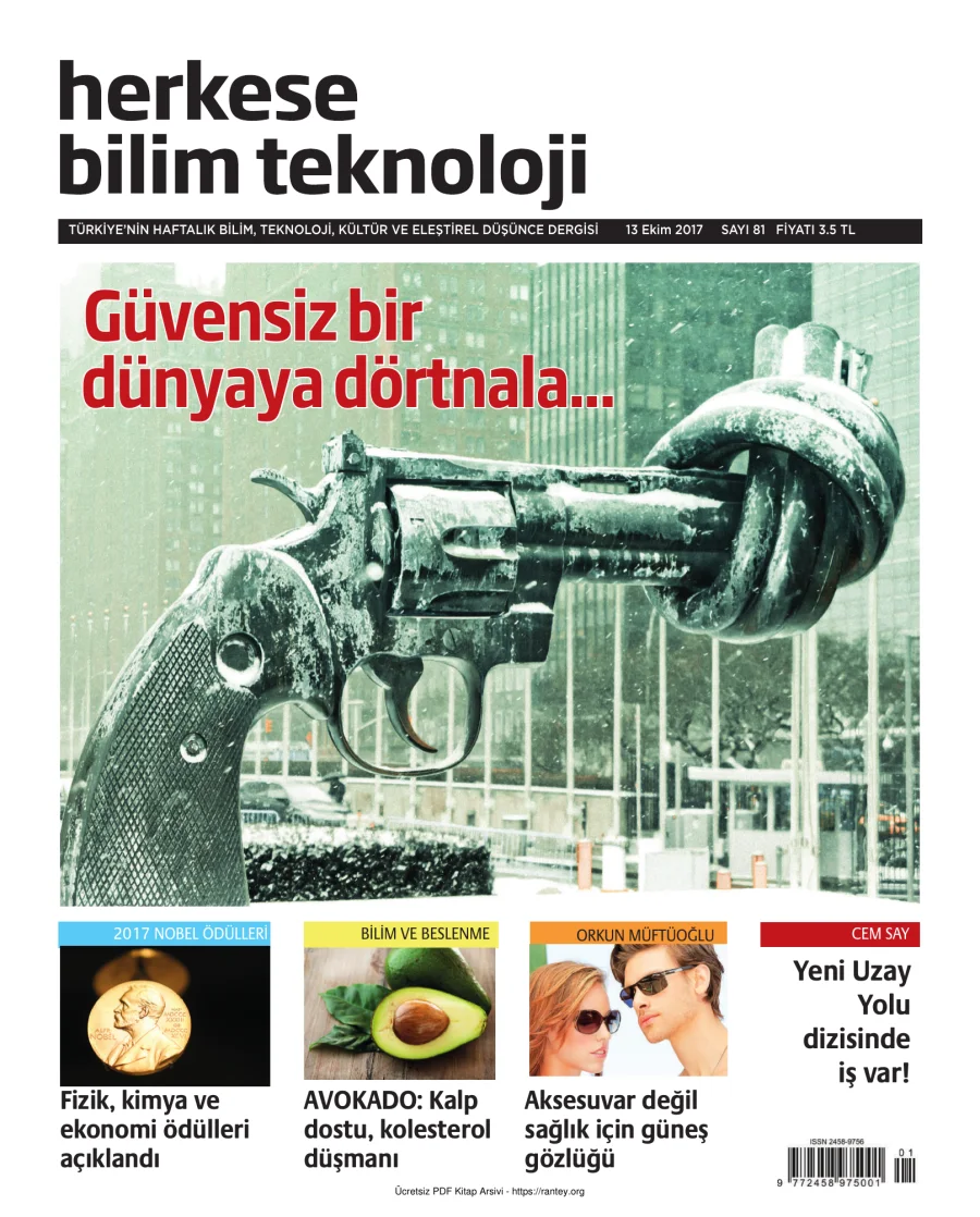 Sayı 081 kapak görseli