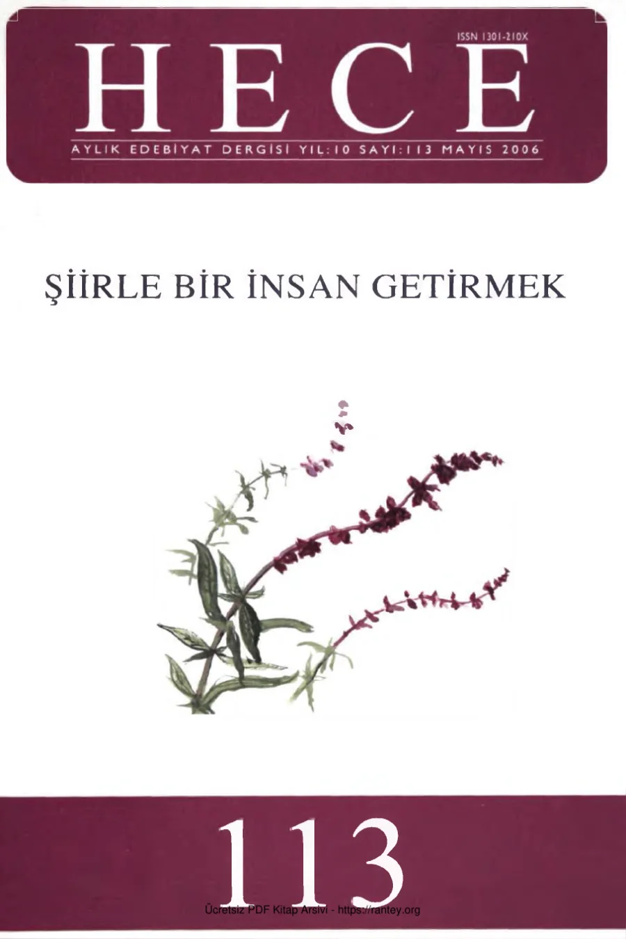 Sayı 113 kapak görseli