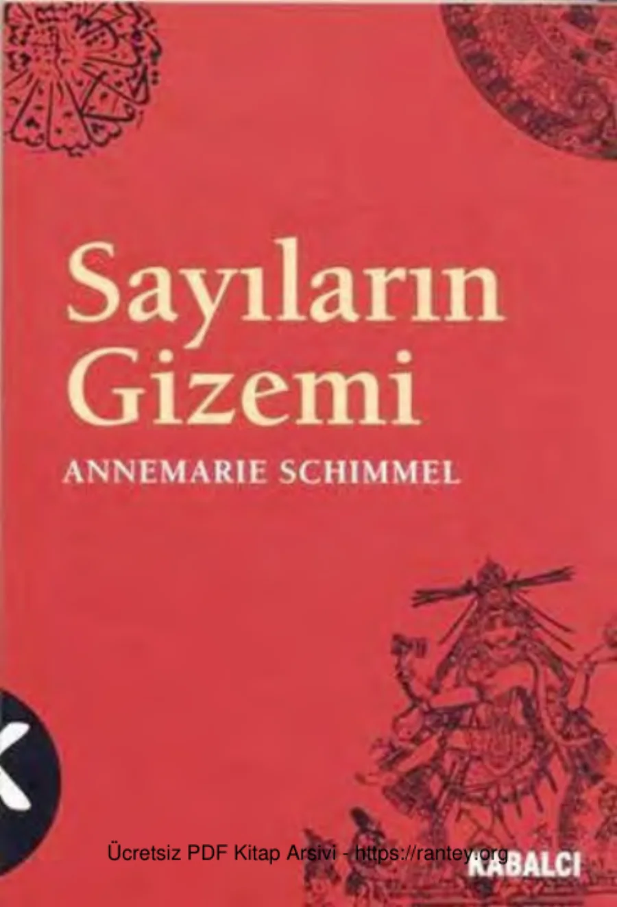Sayıların Gizemi kapak görseli