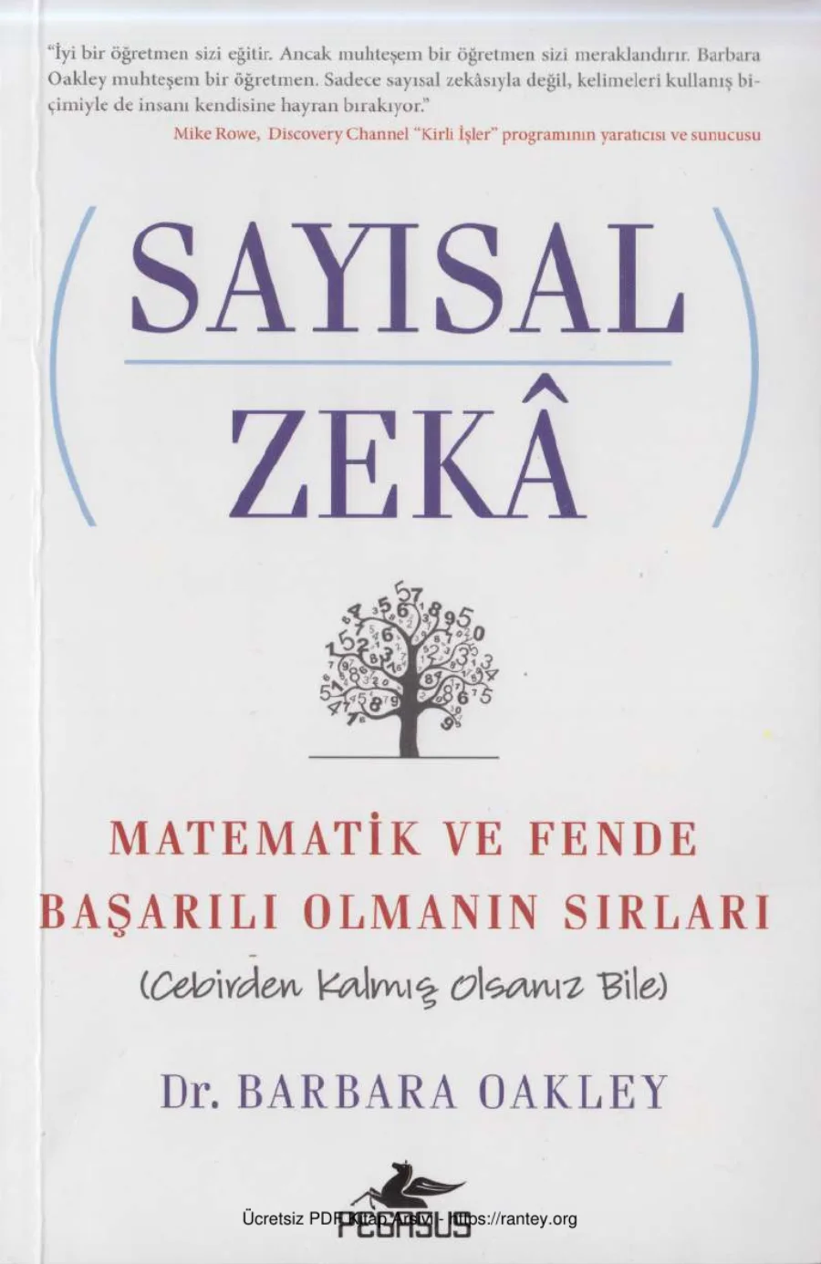 Sayısal Zekâ kapak görseli