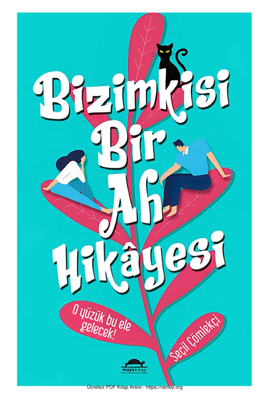 Seçil Çömlekçi Bizimkisi Bir Ah Hikyesi kapak görseli
