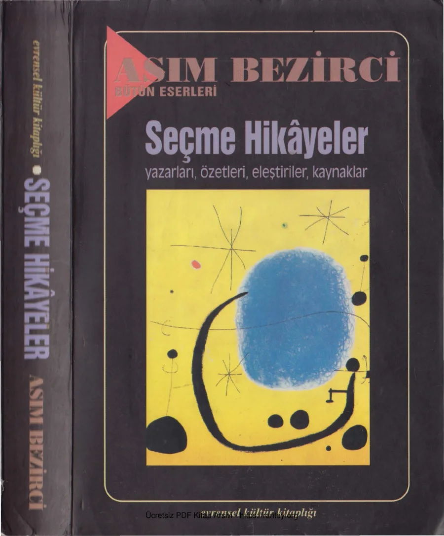 Seçme Hikâyeler kapak görseli