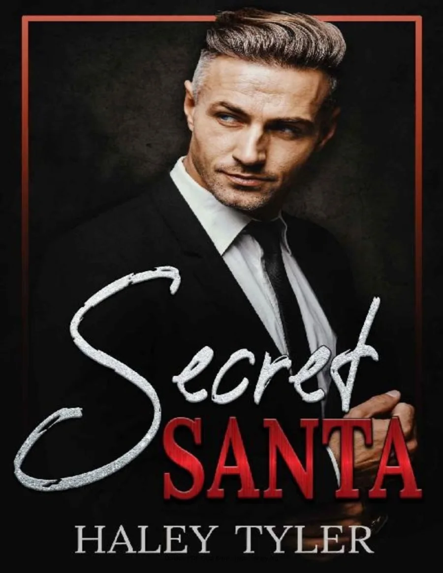 Secret Santa kapak görseli