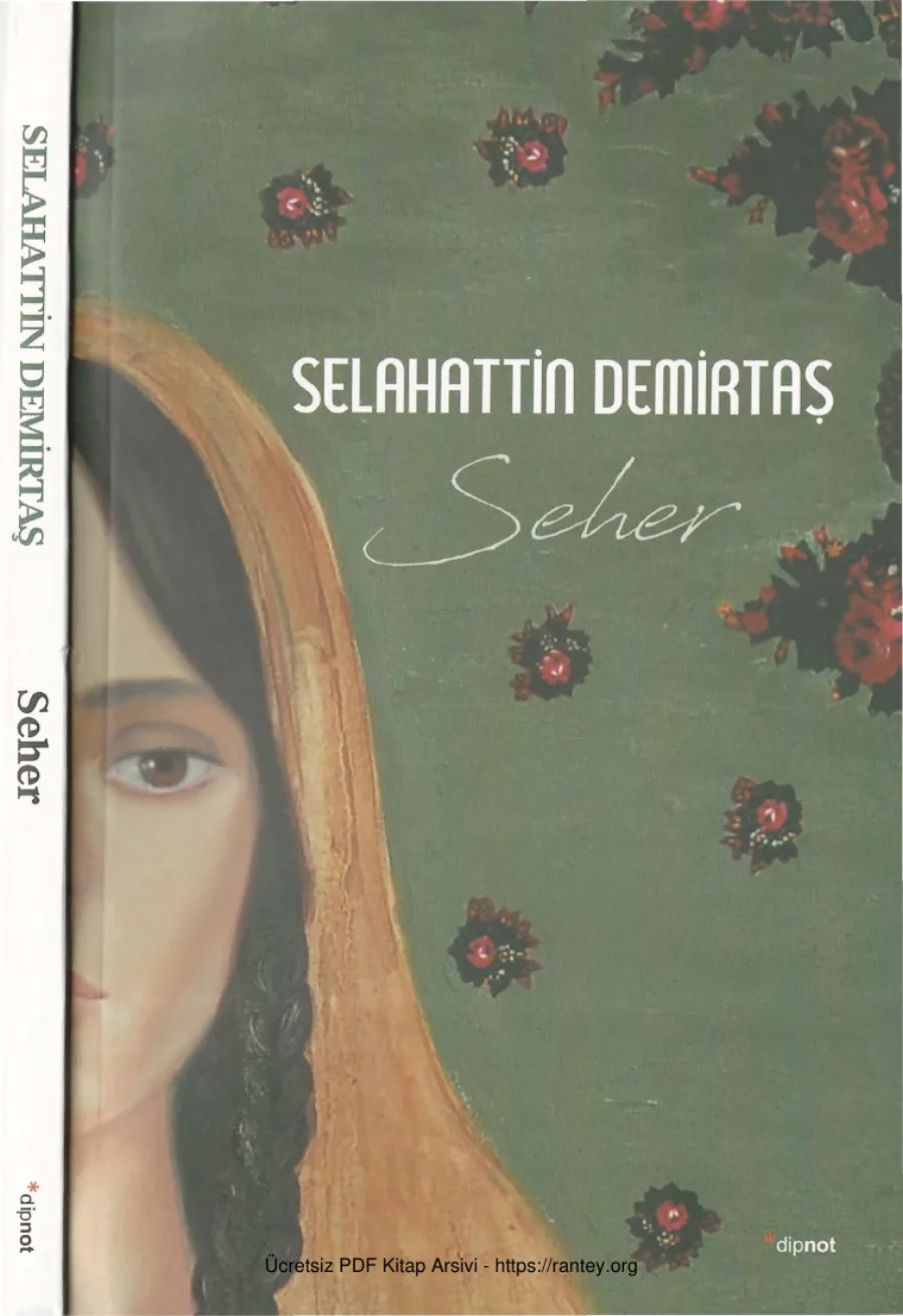 Seher kapak görseli