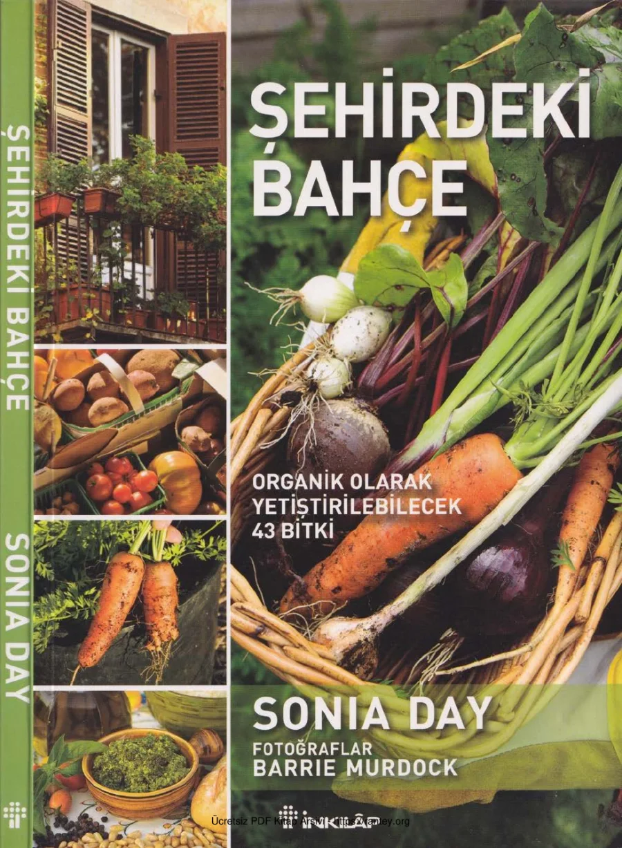Şehirdeki Bahçe kapak görseli