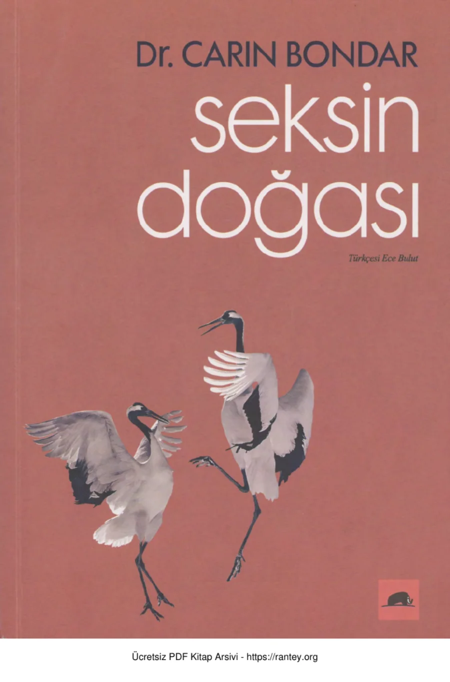 Seksin Doğası Kolektif Yayınları kapak görseli