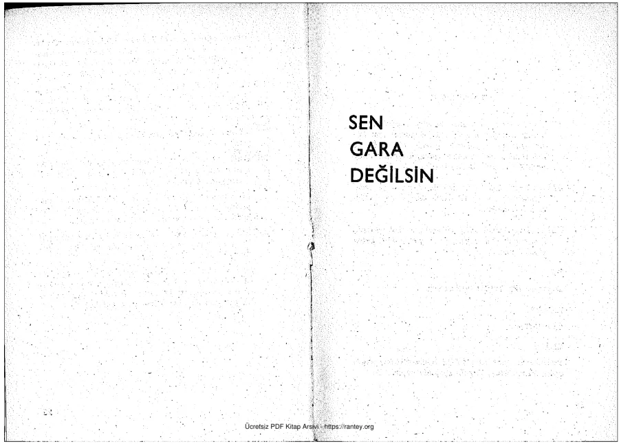 Sen Gara Değilsin kapak görseli