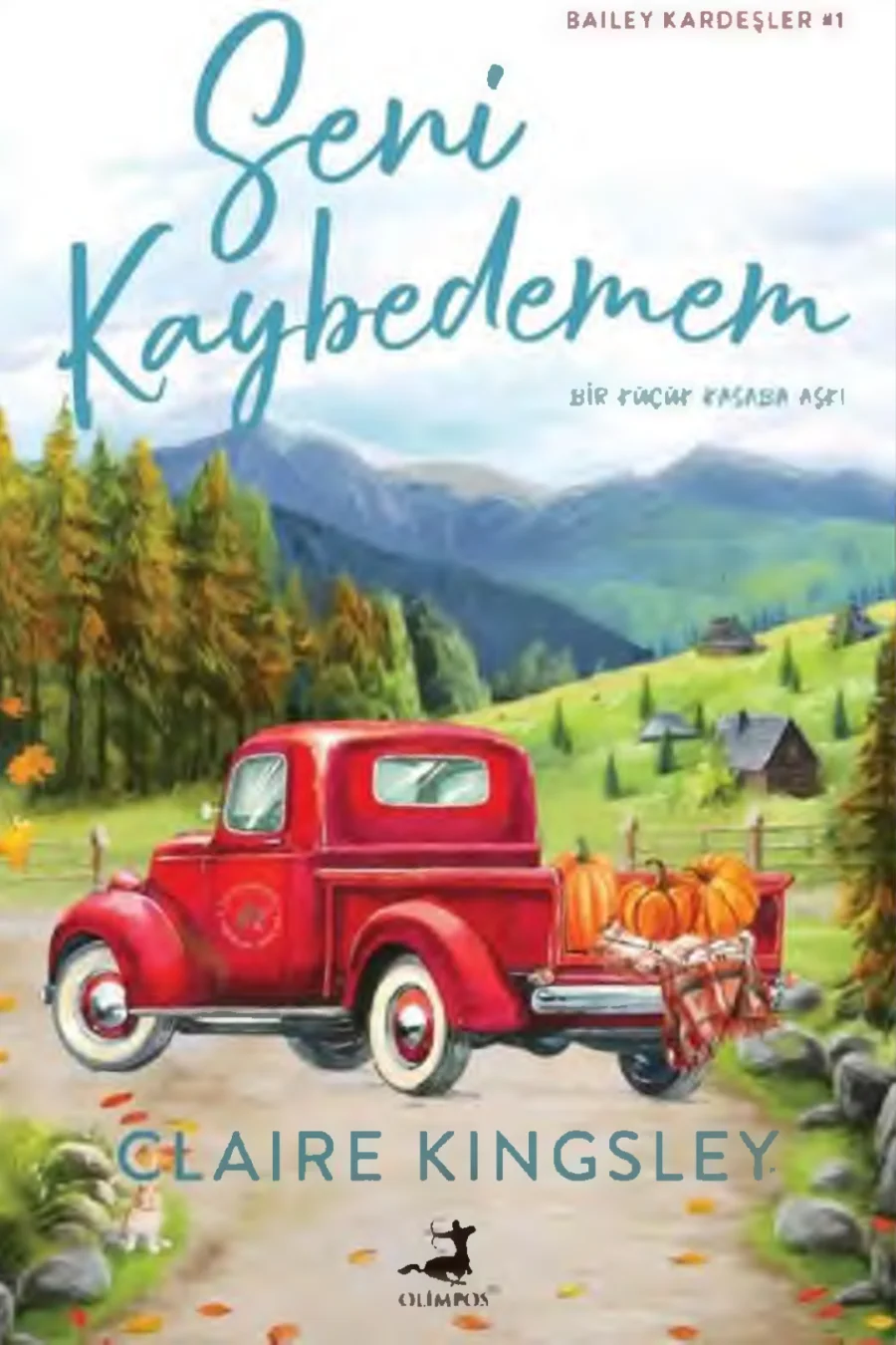 Seni Kaybedemem kapak görseli