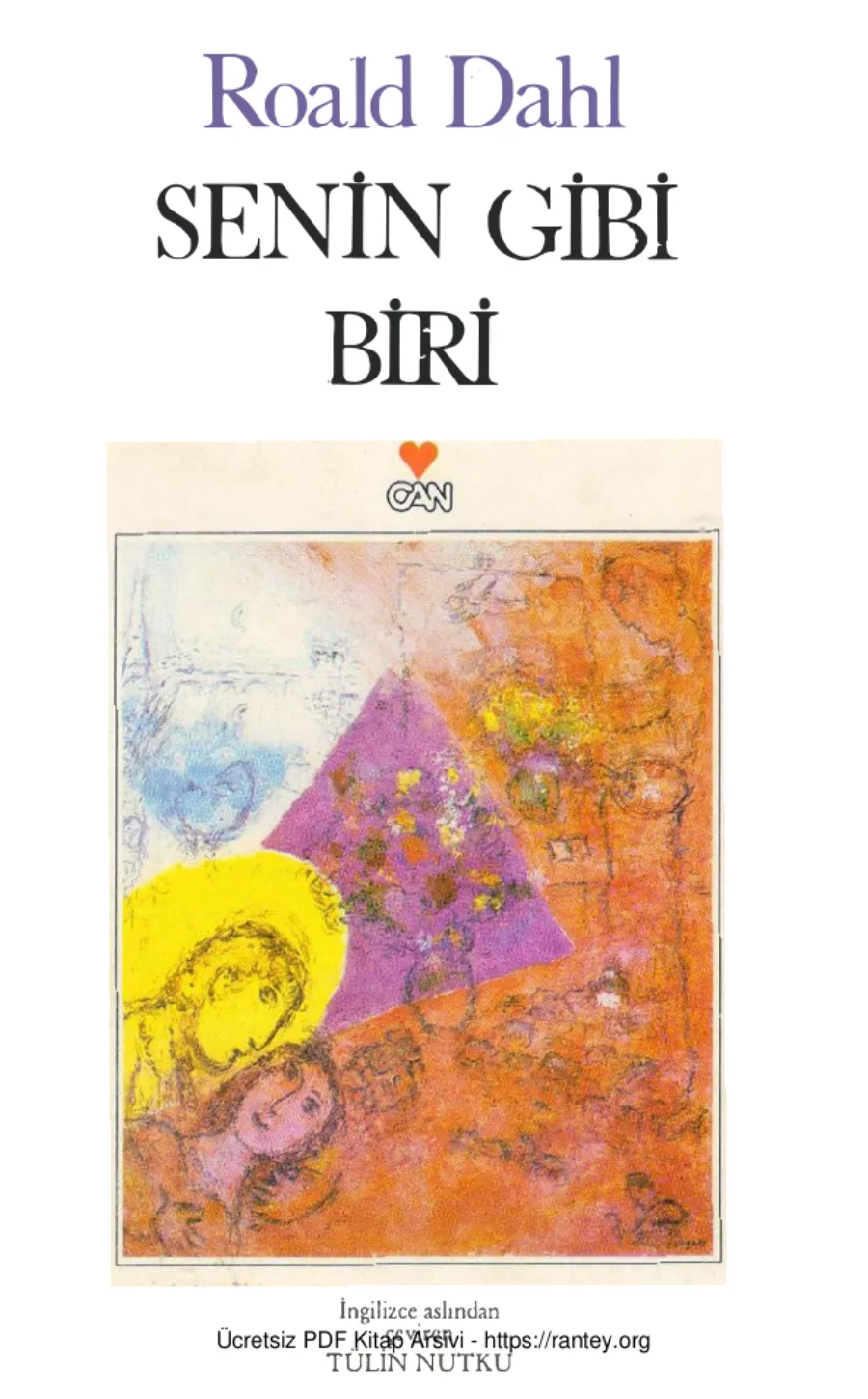 Senin Gibi Biri kapak görseli