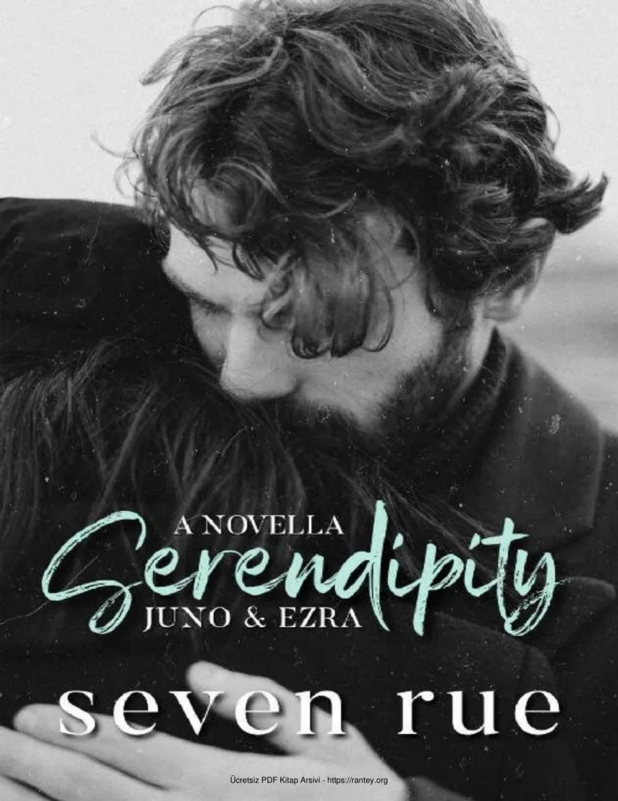Serendipity kapak görseli