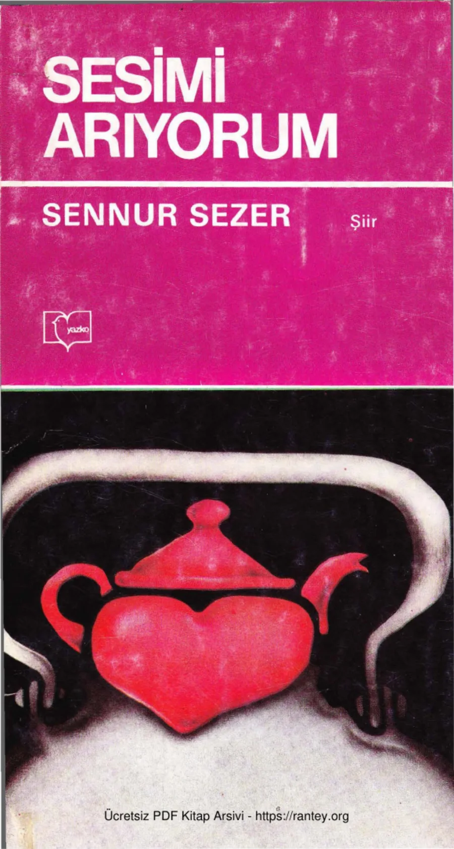 Sesimi Arıyorum kapak görseli