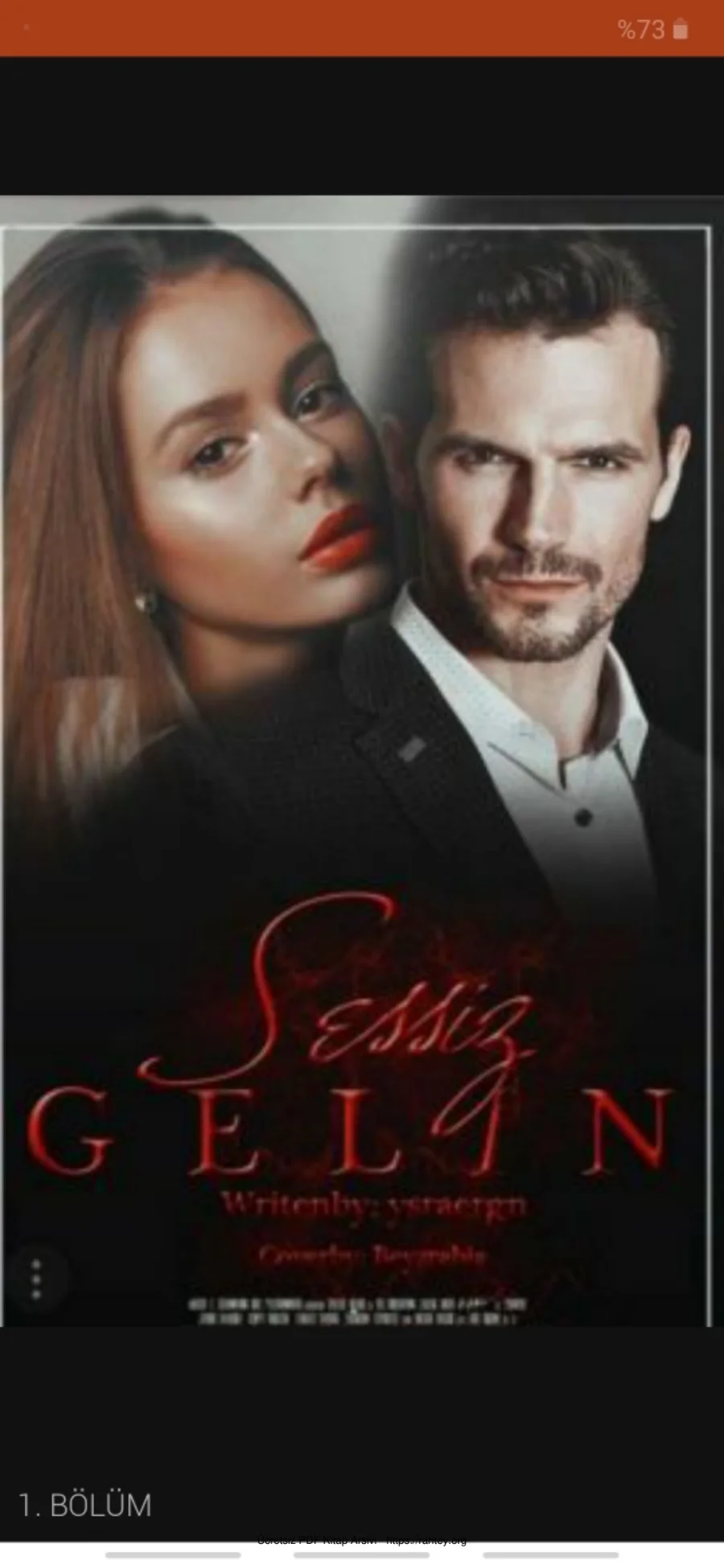 Sessiz Gelin kapak görseli