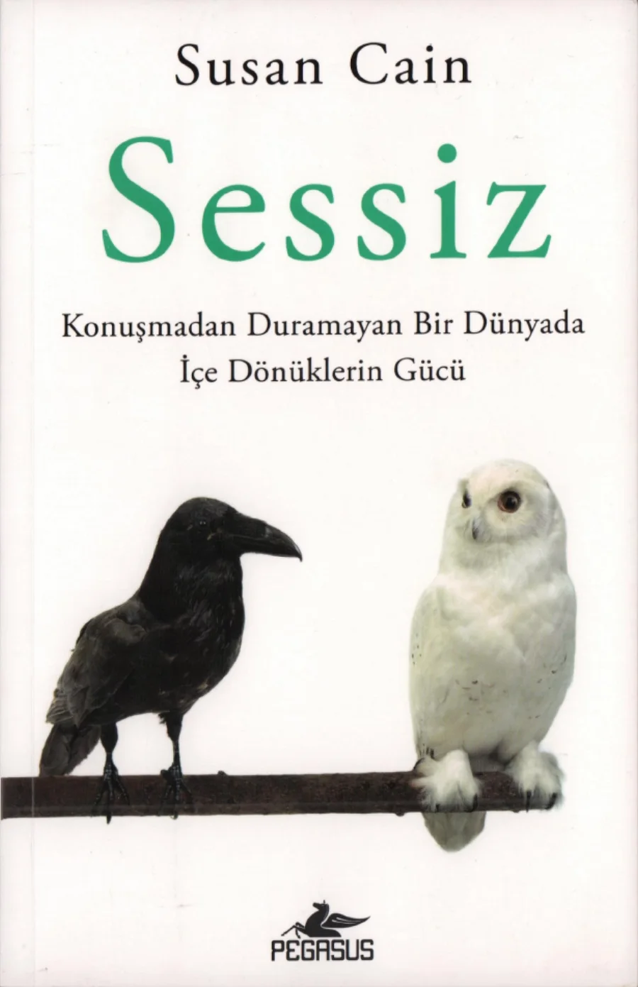 Sessiz kitap kapağı
