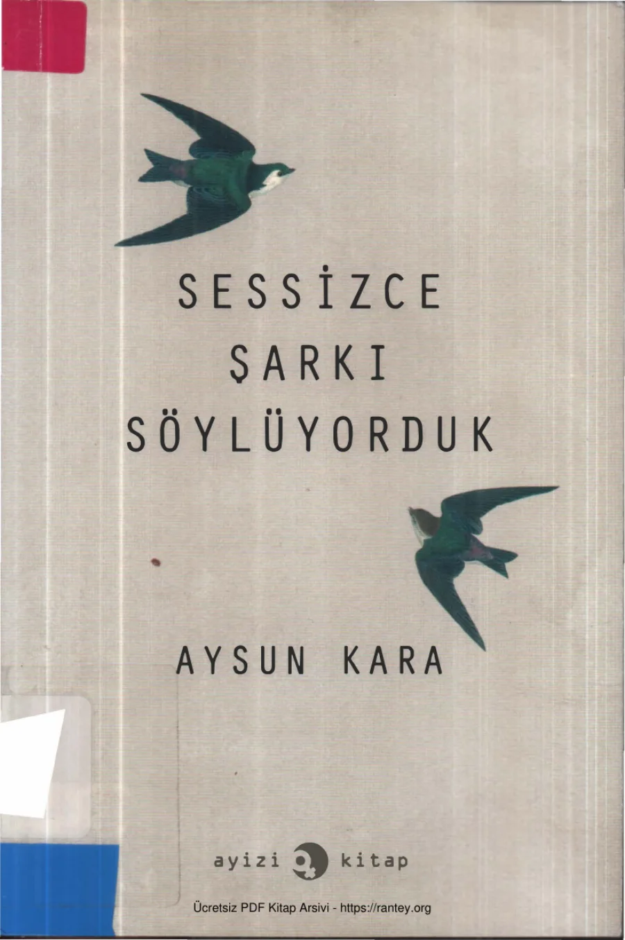 Sessizce Şarkı Söylüyorduk kapak görseli