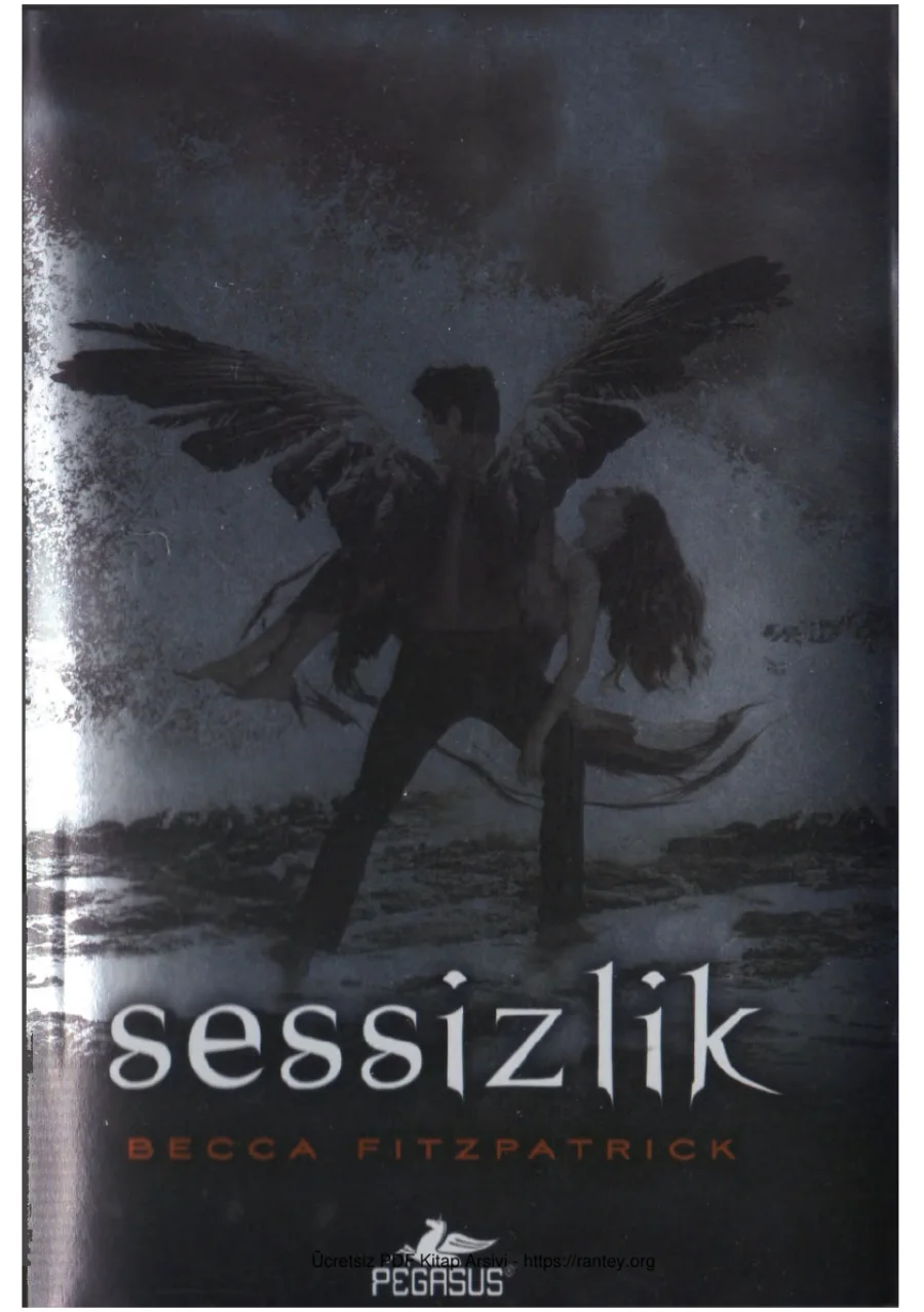 Sessizlik kapak görseli