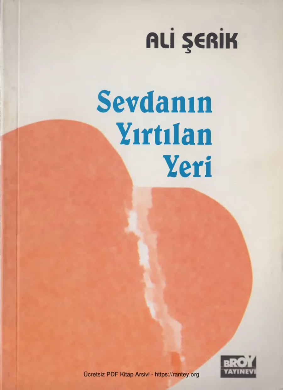 Sevdanın Yırtılan Yeri kapak görseli